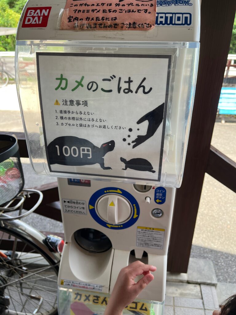 カメのごはんのガチャガチャ