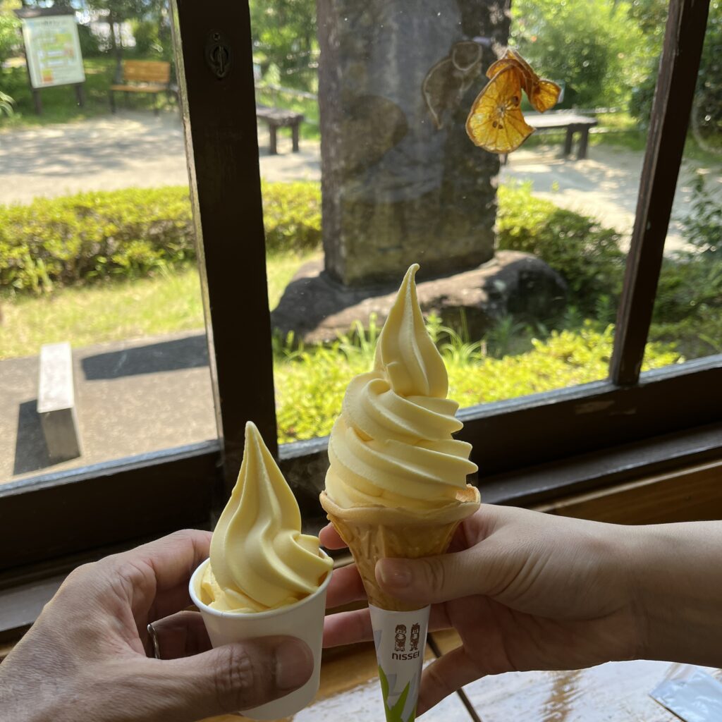 ミニソフトとレギュラーソフト