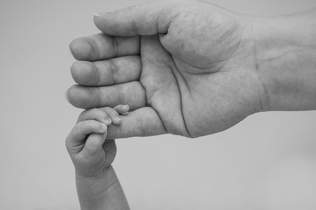 大人の手と子供の手