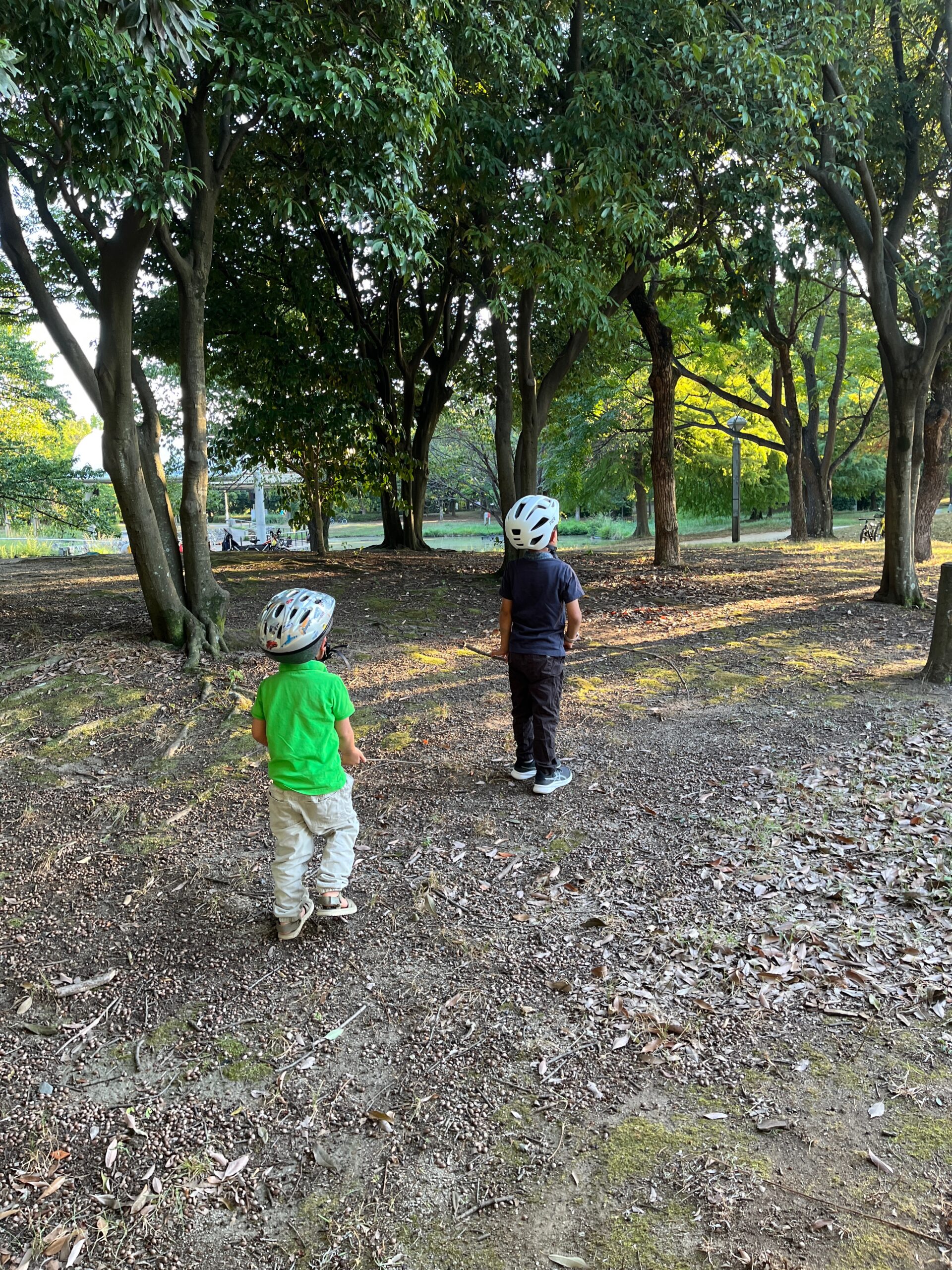 鶴見緑地公園で子どもと挑戦する夜の昆虫採集
