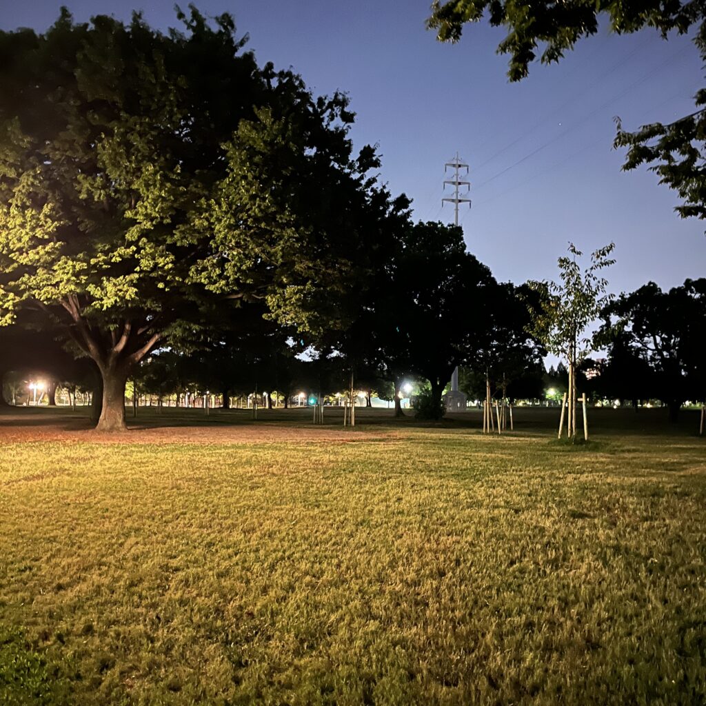 夜の静かな鶴見緑地公園