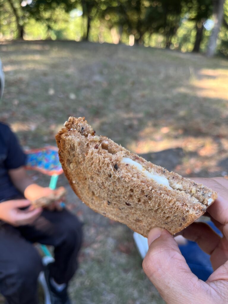 家族でサンドイッチを美味しく食べている様子