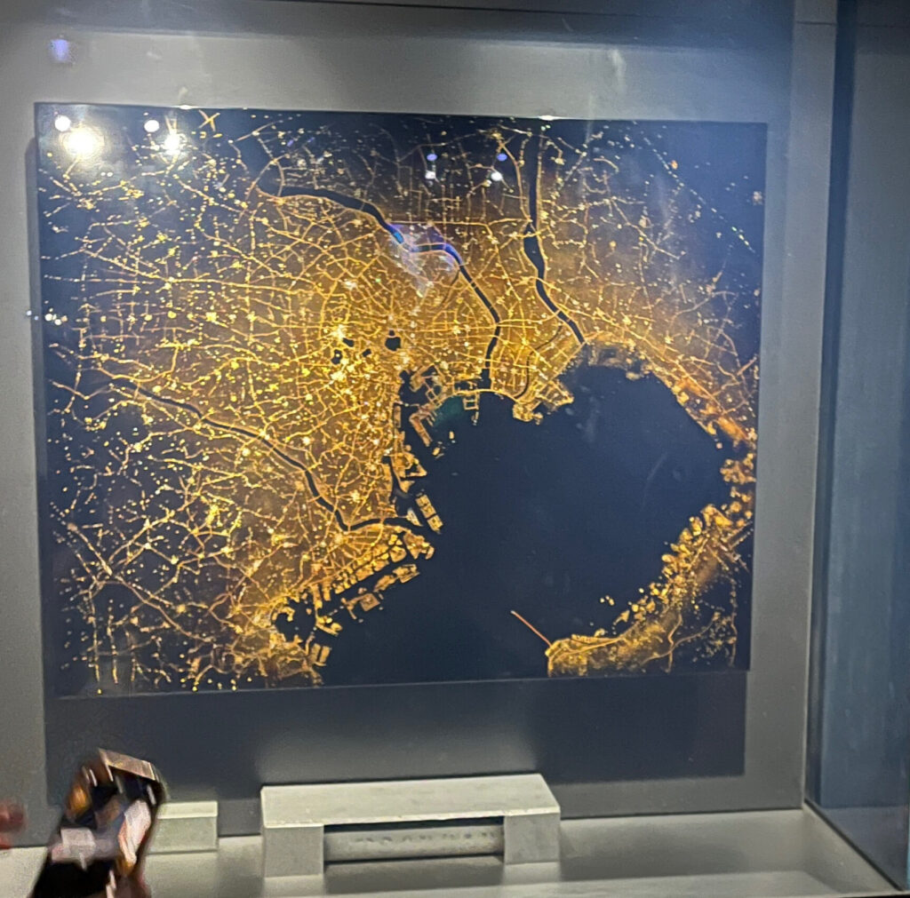 夜の東京の夜景の様子