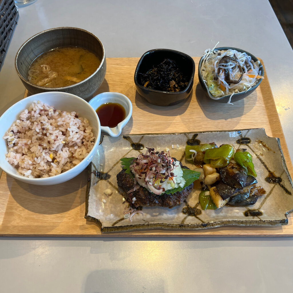 夏野菜みぞれのハンバーグと赤いかと茄子の甘辛炒め定食