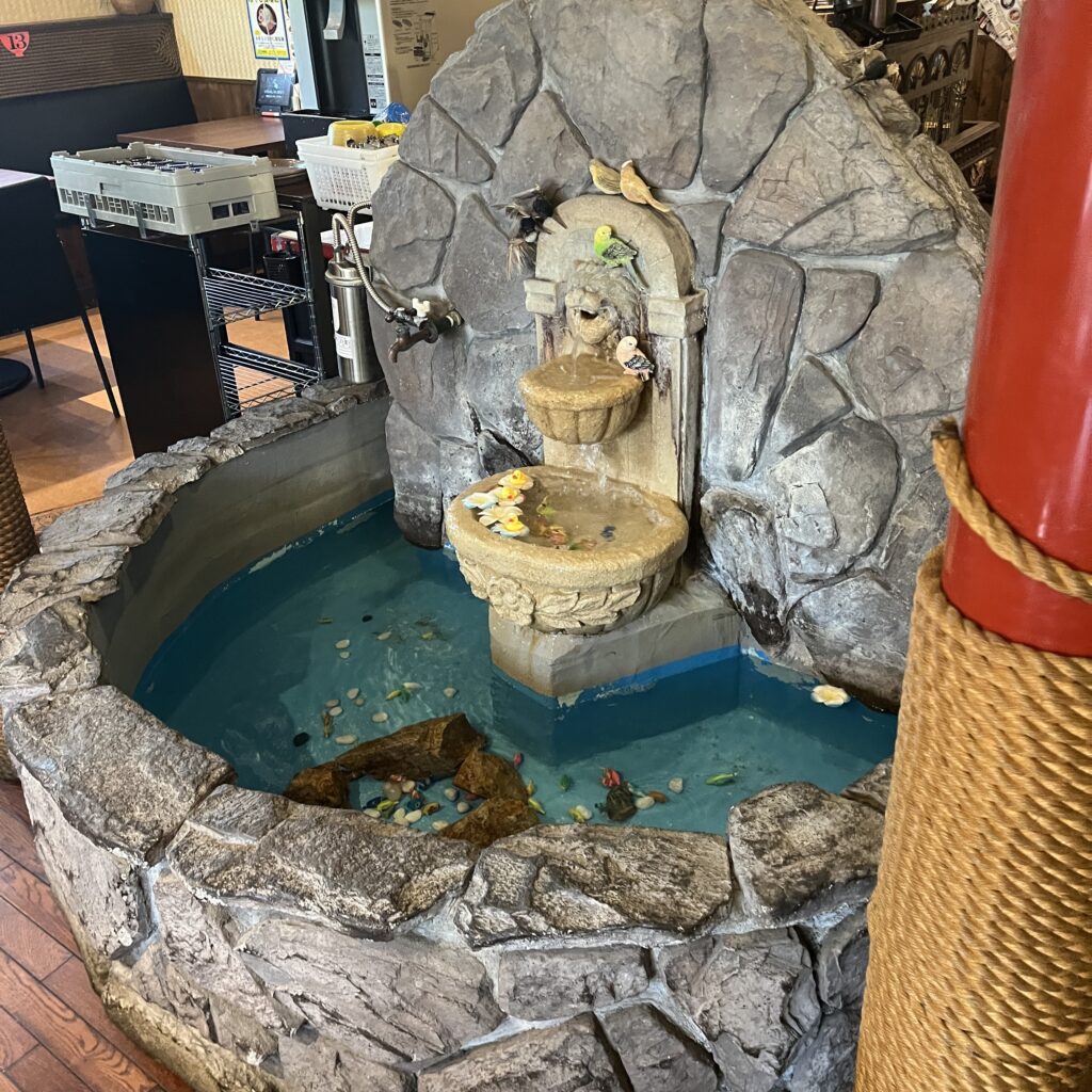 店内にある池