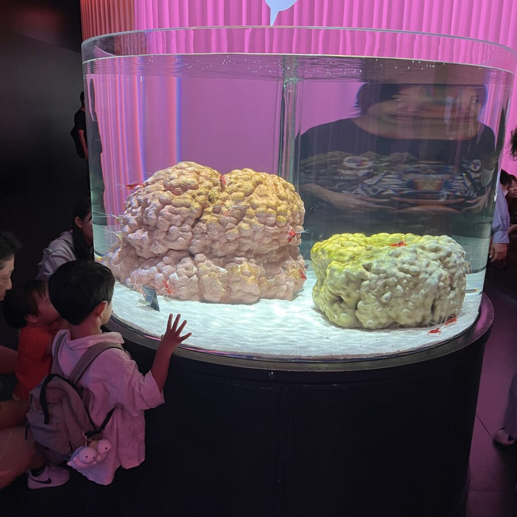 綺麗な水槽に見とれる子供たち