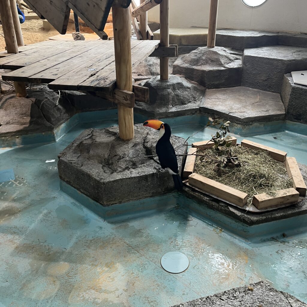 のんびりしている鳥