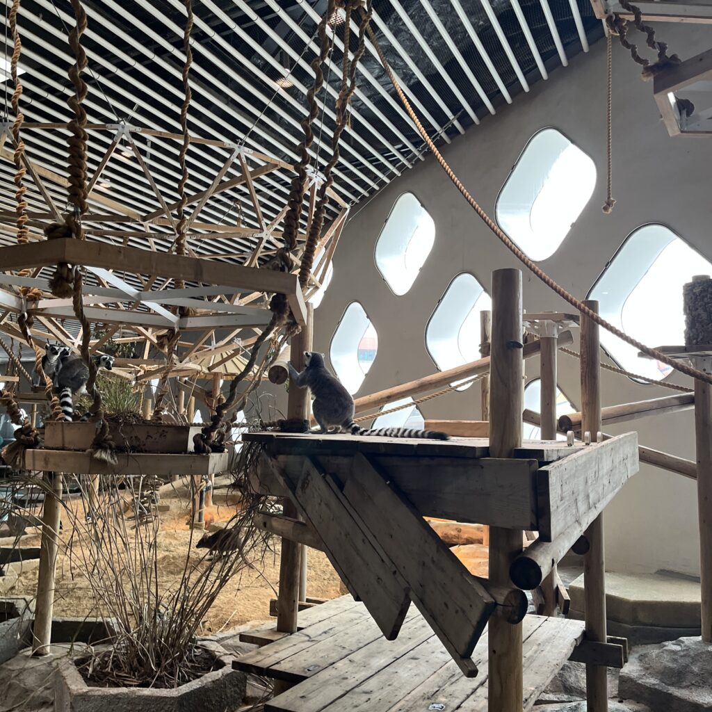 動物たちが自由に過ごしている様子