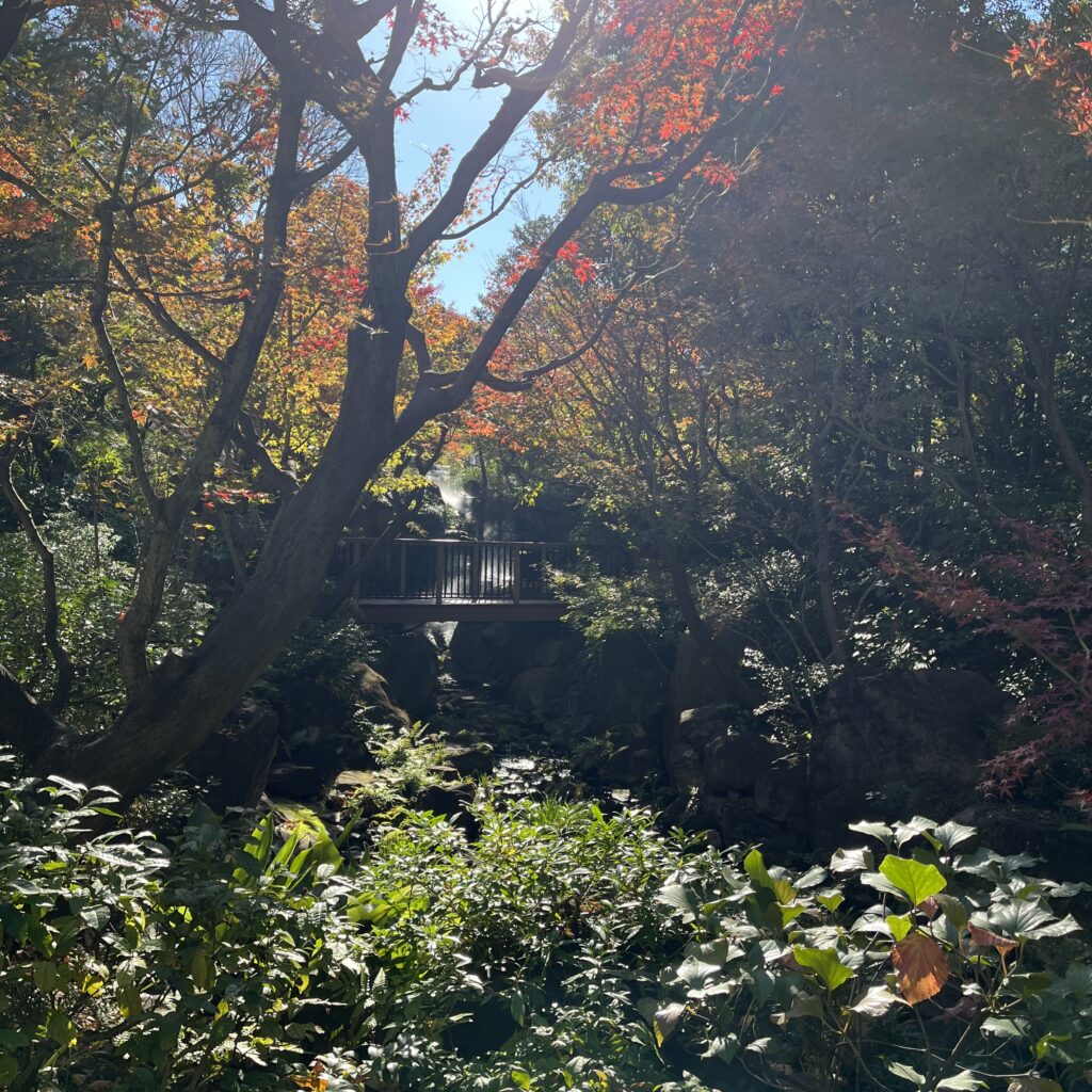 ホテルに併設されたお庭