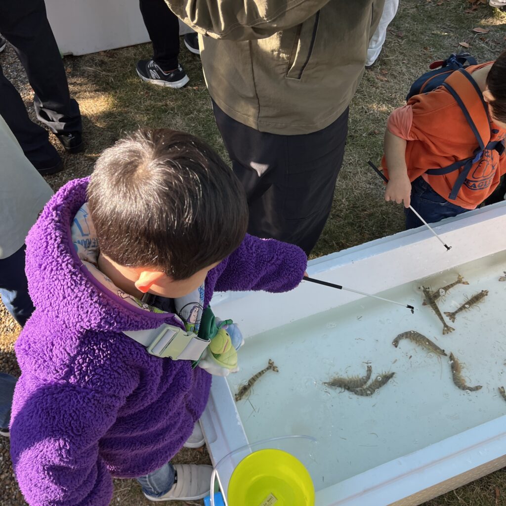 エビ釣りに挑戦する息子