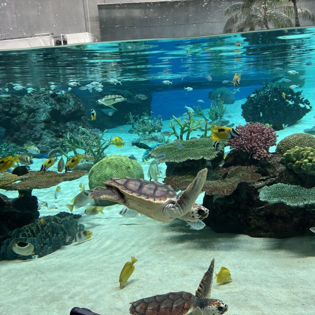 南国エリアの様子