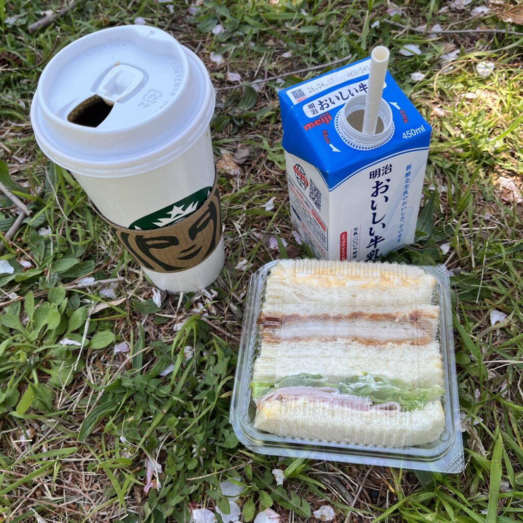 ピクニックを楽しむ様子