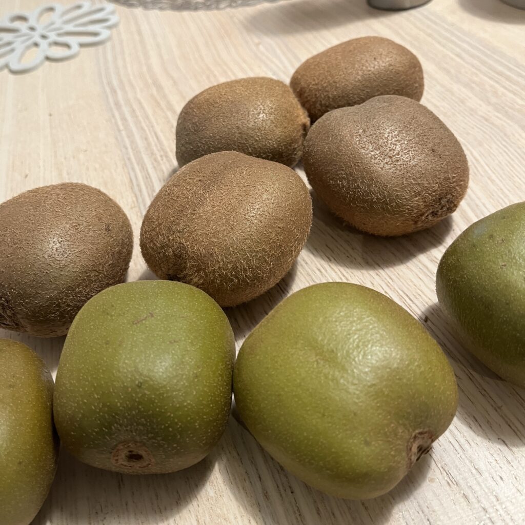 可愛く並んだキウイたち