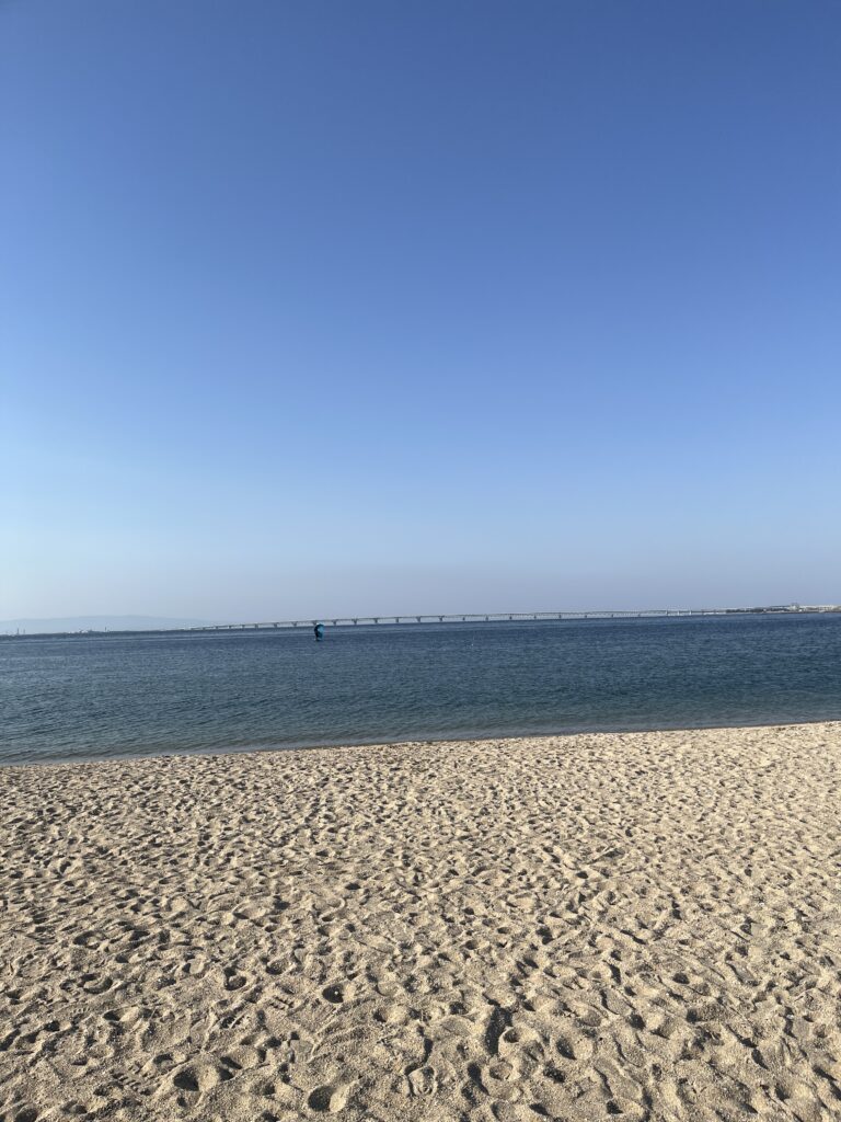 綺麗な海