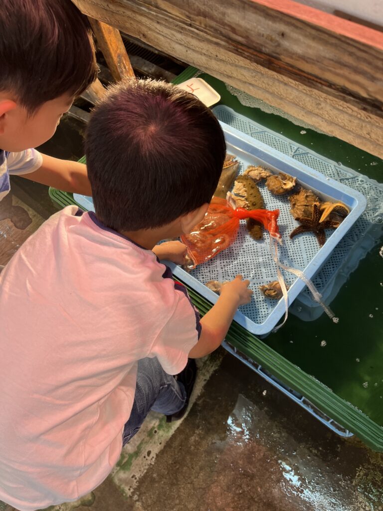 海の生き物たちと子供たちが触れ合っている様子