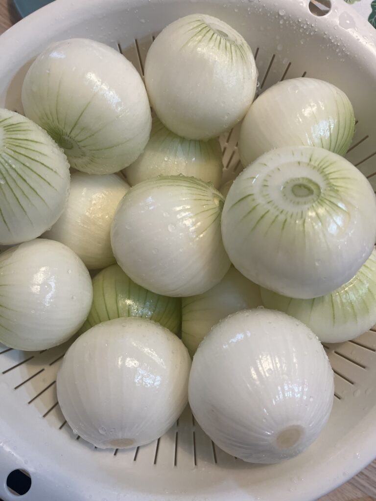 ゲットした玉ねぎ