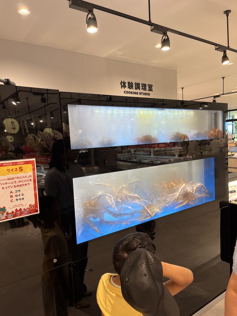 泳いでいるかに達