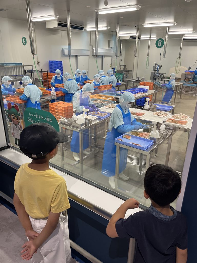 カニ剥き作業見学中の子どもたち